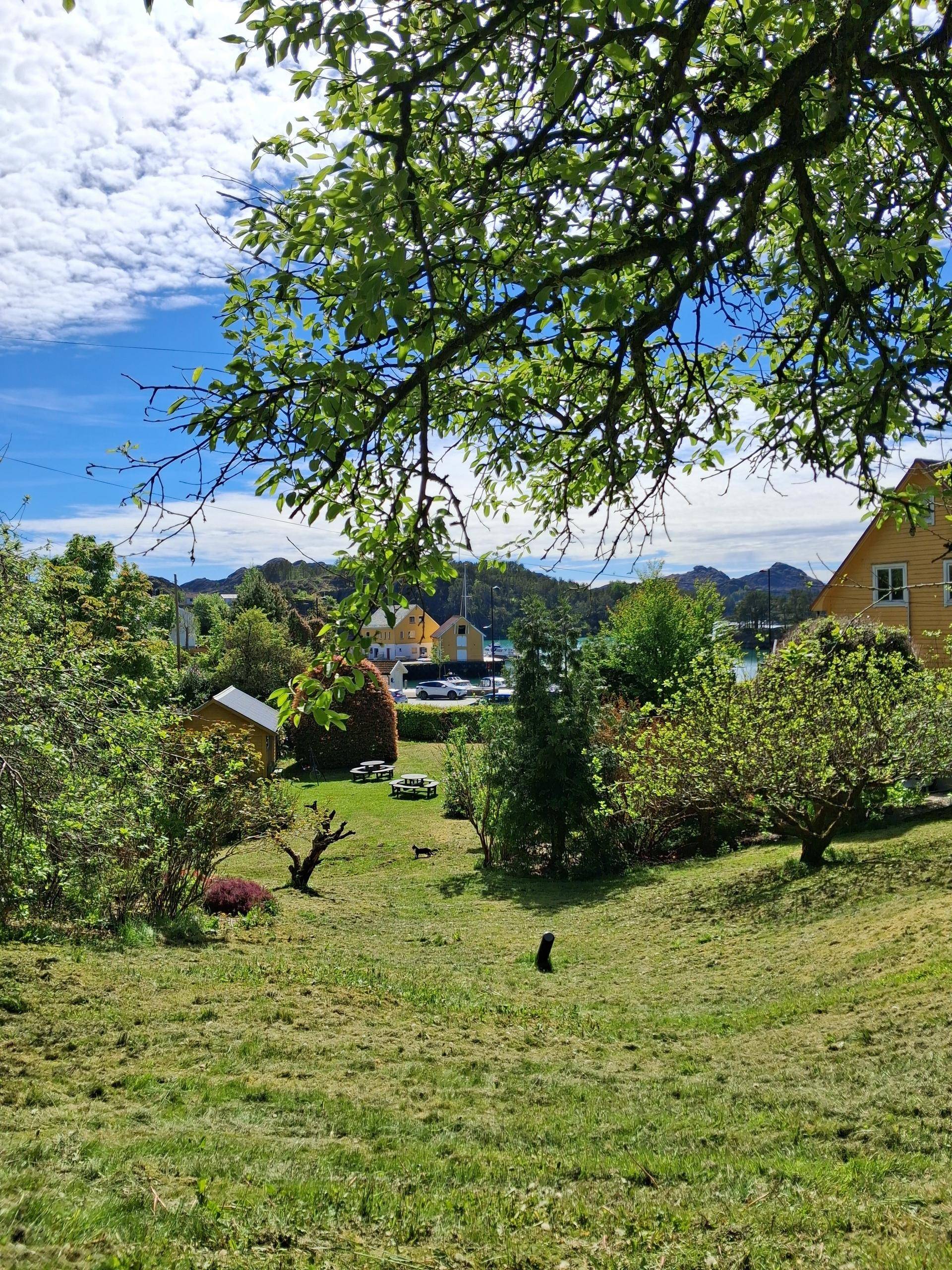 Grøn park i Hardbakke hamn. Foto: Mona Hjønnevåg